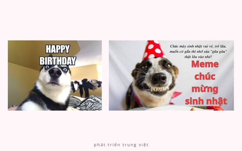 Ảnh sinh nhật meme, troll vui nhộn